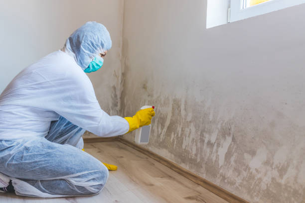 Crawl Space Mold Remediation treatment of floor joists in Alpharetta