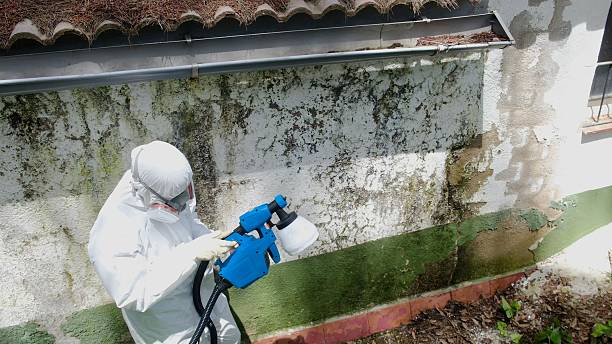 Mold Remediation service in Alpharetta, Alpharetta, GA